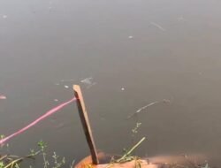 Heboh, Kembali Penemuan Mayat di sungai Desa pacarpeluk Jombang