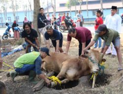 Idul kurban adalah momentum membuang ego, keserakahan, dan kepentingan pribadi untuk berbagi buat sesama