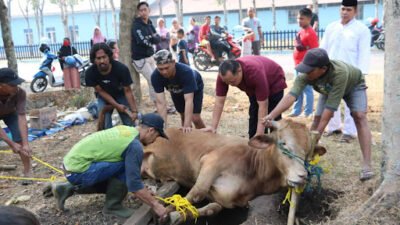Idul kurban adalah momentum membuang ego, keserakahan, dan kepentingan pribadi untuk berbagi buat sesama