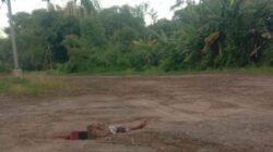 Seorang pria ditemukan meninggal di Bareng dengan luka serius di Kepala : diduga Korban terlindas Truk Trailer